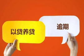 钱皇后催收背后的故事与法律分析